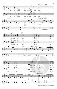 Defying Gravity von Stephen Schwartz 