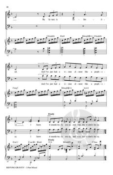 Defying Gravity von Stephen Schwartz 