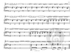 Concerto op. 35 B Minor von Oskar Rieding 