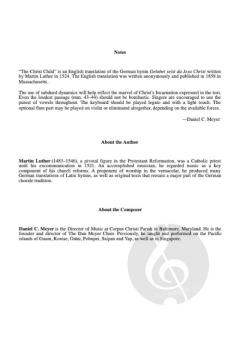 The Christ Child von Daniel C. Meyer 