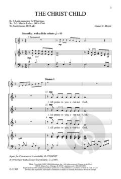 The Christ Child von Daniel C. Meyer 