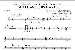 Can I Have This Dance? von Adam Anders (Download) 