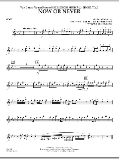 Now Or Never von Matthew Gerrard (Download) 