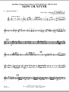 Now Or Never von Matthew Gerrard (Download) 