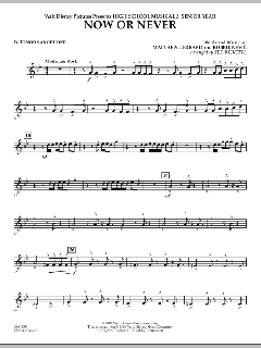 Now Or Never von Matthew Gerrard (Download) 