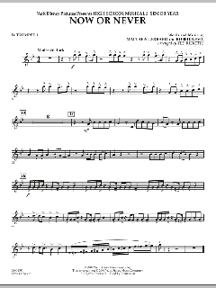 Now Or Never von Matthew Gerrard (Download) 