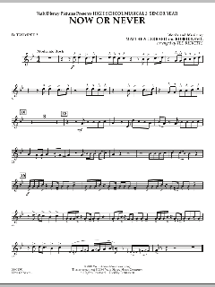 Now Or Never von Matthew Gerrard (Download) 