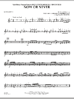 Now Or Never von Matthew Gerrard (Download) 