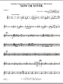 Now Or Never von Matthew Gerrard (Download) 