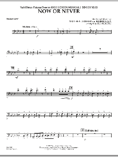 Now Or Never von Matthew Gerrard (Download) 