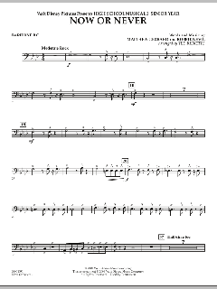 Now Or Never von Matthew Gerrard (Download) 