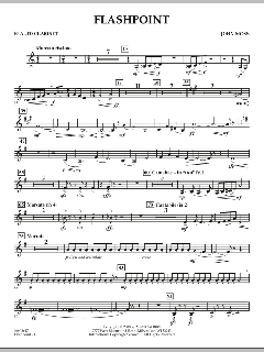 Flashpoint von John Moss (Download) 