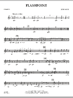 Flashpoint von John Moss (Download) 
