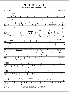 The Summit von John Moss (Download) 