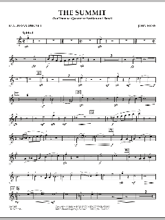 The Summit von John Moss (Download) 