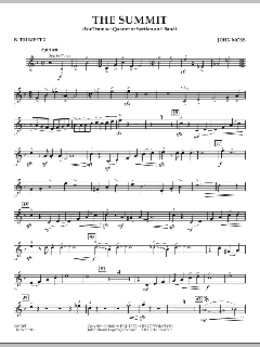 The Summit von John Moss (Download) 