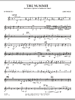 The Summit von John Moss (Download) 