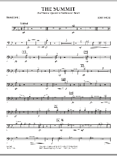 The Summit von John Moss (Download) 