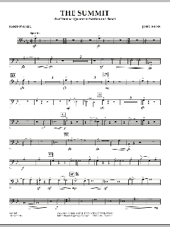 The Summit von John Moss (Download) 