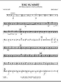 The Summit von John Moss (Download) 