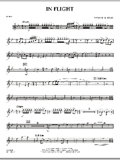 In Flight von Samuel R. Hazo (Download) 