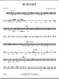 In Flight von Samuel R. Hazo (Download) 