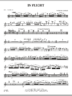 In Flight von Samuel R. Hazo (Download) 