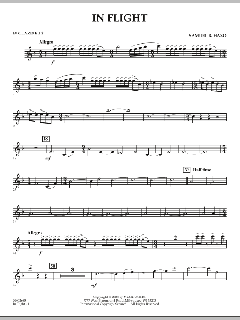 In Flight von Samuel R. Hazo (Download) 