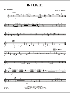 In Flight von Samuel R. Hazo (Download) 