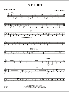 In Flight von Samuel R. Hazo (Download) 