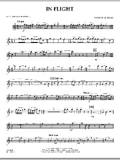 In Flight von Samuel R. Hazo (Download) 