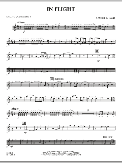 In Flight von Samuel R. Hazo (Download) 