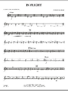 In Flight von Samuel R. Hazo (Download) 