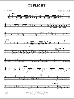 In Flight von Samuel R. Hazo (Download) 