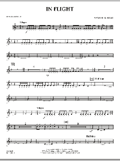 In Flight von Samuel R. Hazo (Download) 