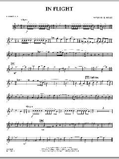 In Flight von Samuel R. Hazo (Download) 