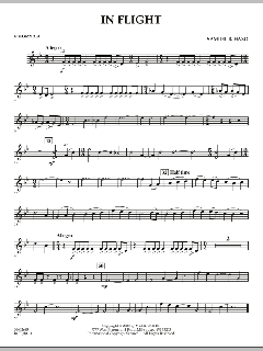 In Flight von Samuel R. Hazo (Download) 