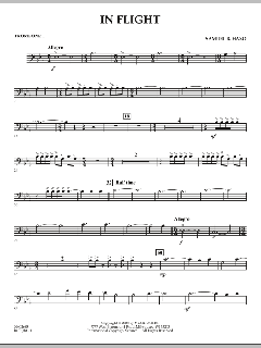 In Flight von Samuel R. Hazo (Download) 