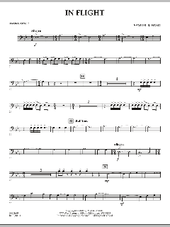 In Flight von Samuel R. Hazo (Download) 