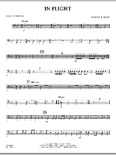 In Flight von Samuel R. Hazo (Download) 