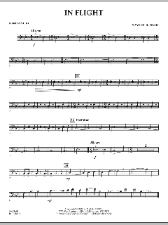 In Flight von Samuel R. Hazo (Download) 