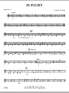 In Flight von Samuel R. Hazo (Download) 