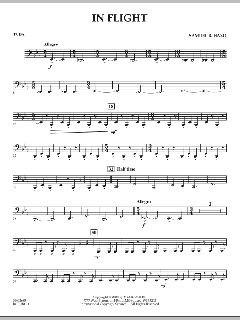 In Flight von Samuel R. Hazo (Download) 