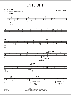 In Flight von Samuel R. Hazo (Download) 