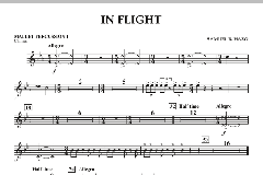 In Flight von Samuel R. Hazo (Download) 