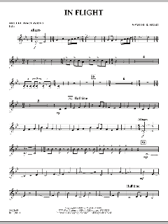 In Flight von Samuel R. Hazo (Download) 