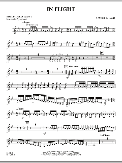 In Flight von Samuel R. Hazo (Download) 