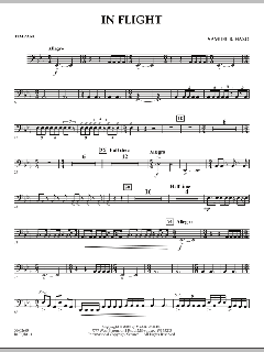 In Flight von Samuel R. Hazo (Download) 