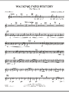 Walking Into History (The Clinton 12) von Richard L. Saucedo (Download) 