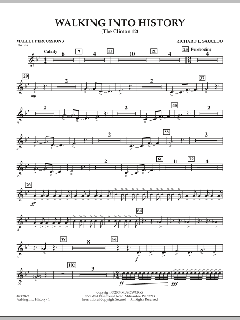 Walking Into History (The Clinton 12) von Richard L. Saucedo (Download) 